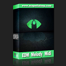 旋律Midi文件/EDM Melody Midi